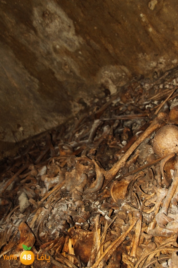 mdafenkazakhana512 (9).jpg